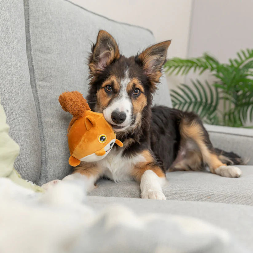 Trixie- Squirrel Plush Dog Toy