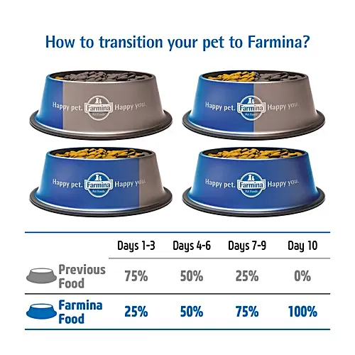 N&D - Prime Chicken Adult Cat Dry Food