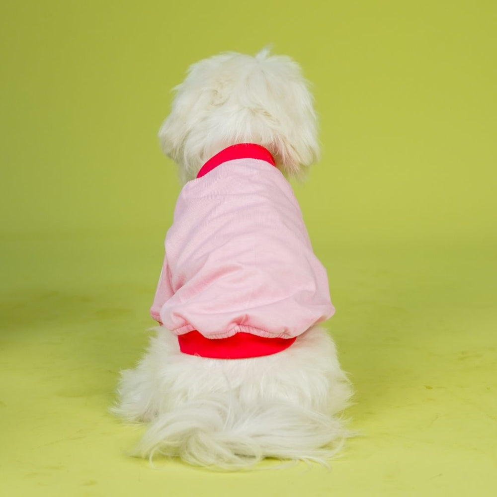 Pets Way Dive In Stripes Blush T-Shirt for Dogs