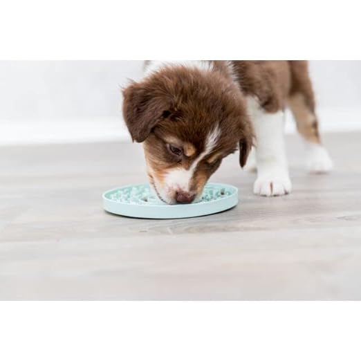 Trixie - Junior Licking Plate, 15 Cm, Mint