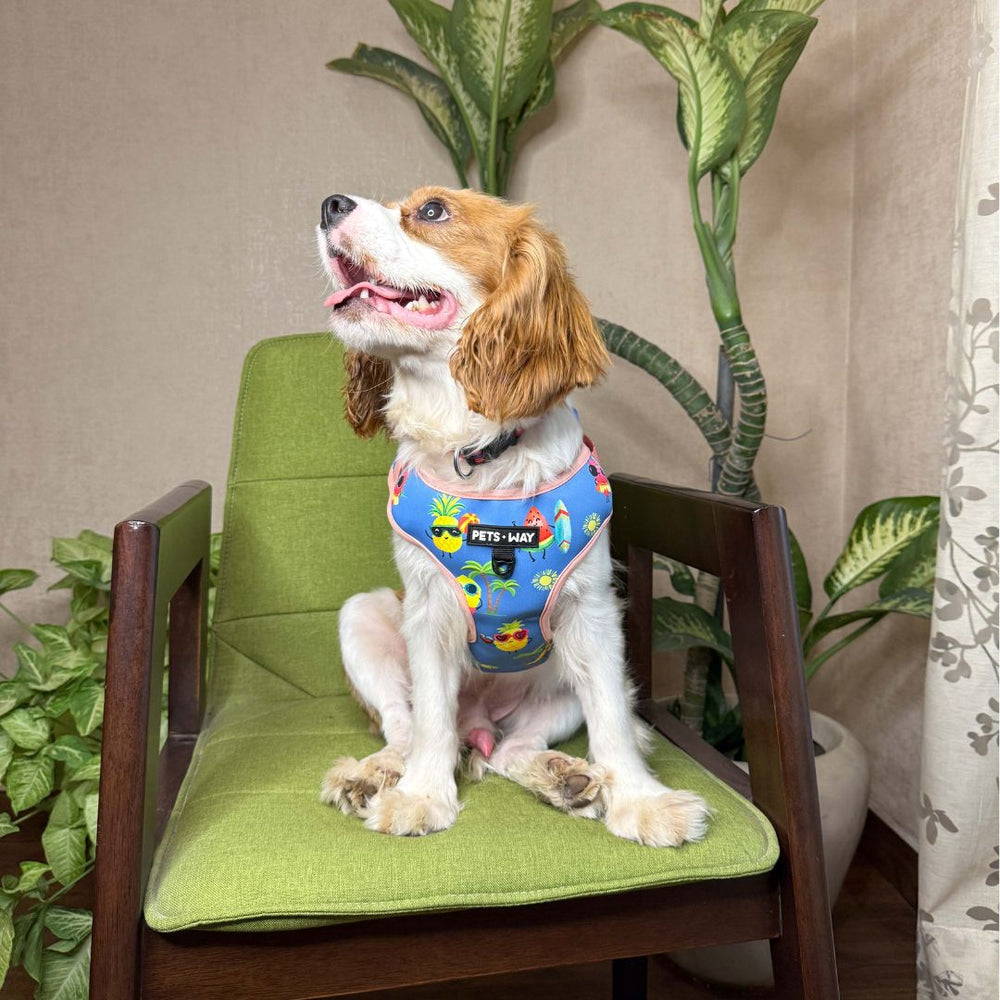 Pets Way Vest Harness For Dogs