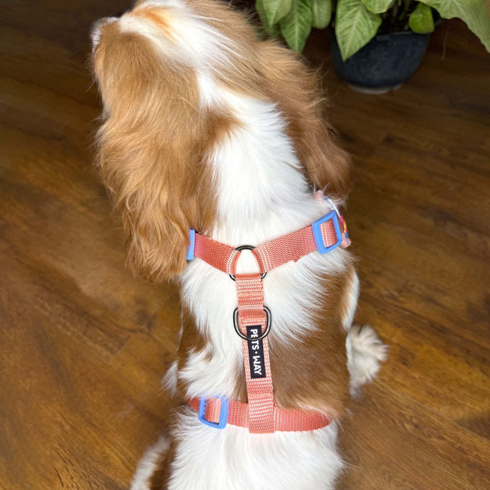 Pets Way Vest Harness For Dogs