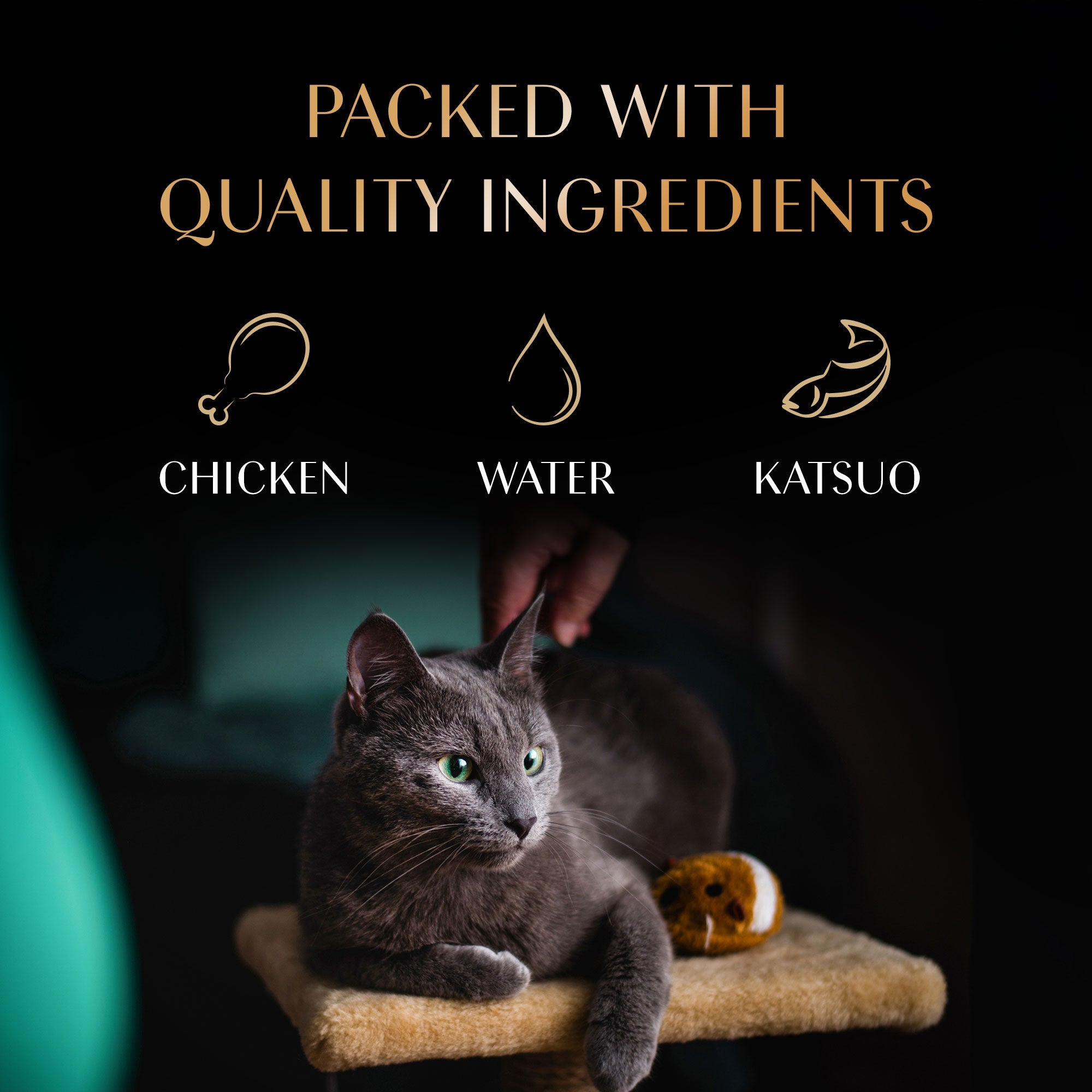 Sheba Melty Maguro Selection Tuna & Prawn Flavours Cat Treats