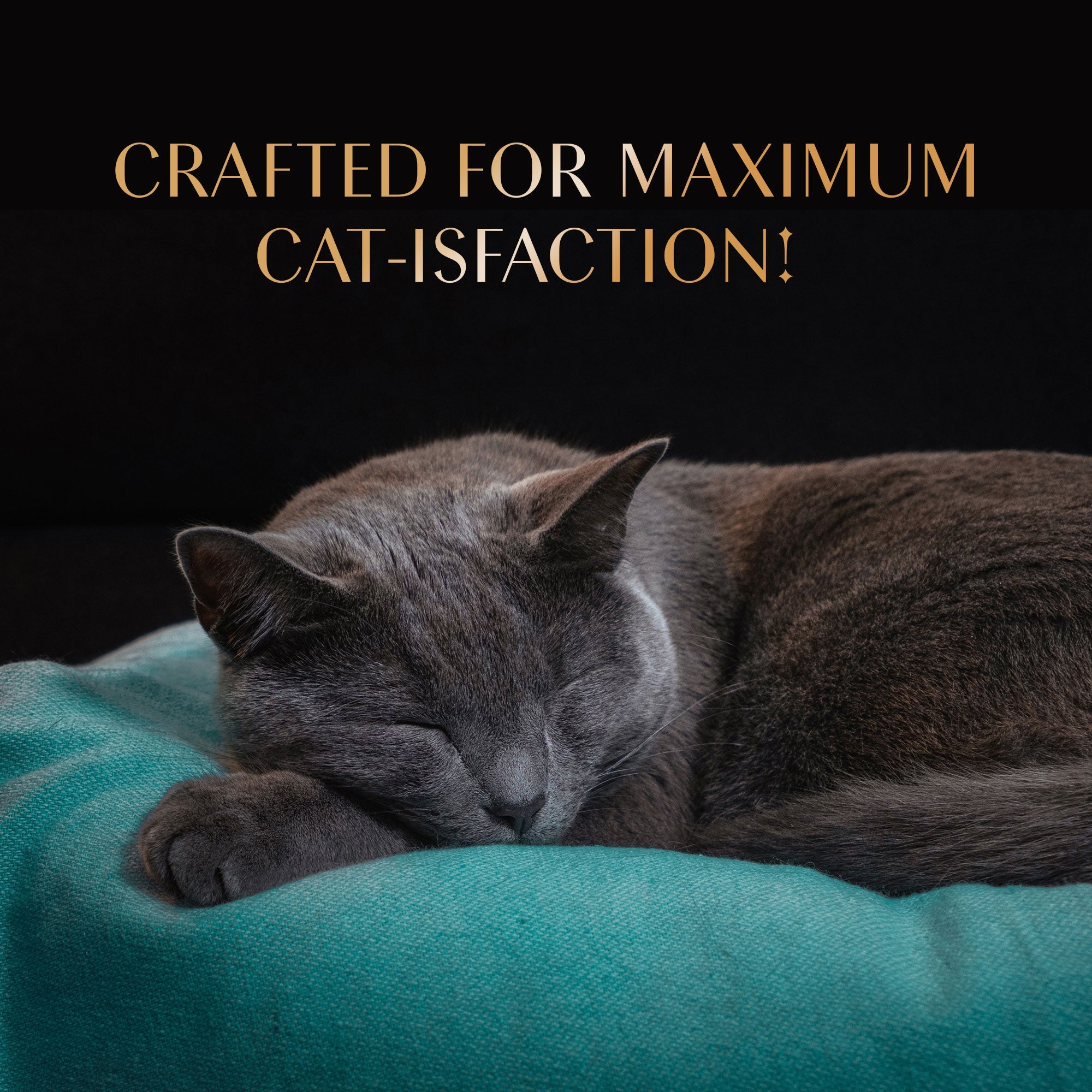 Sheba Melty Maguro Selection Tuna & Prawn Flavours Cat Treats