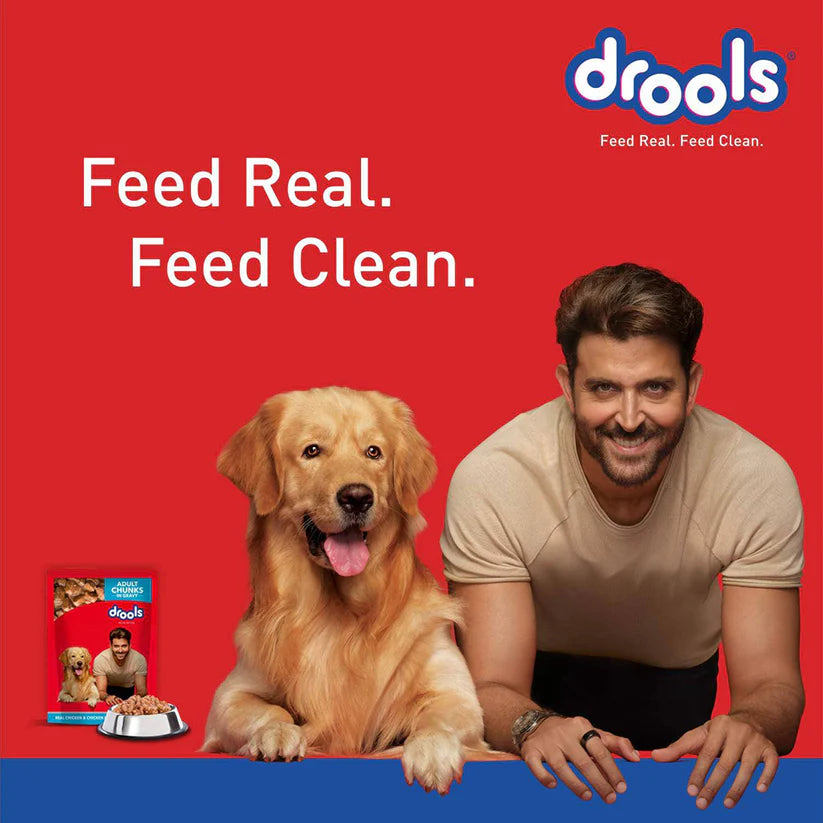 Drools- Chicken & Chicken Liver Chunks in Gravy Puppy Wet Food