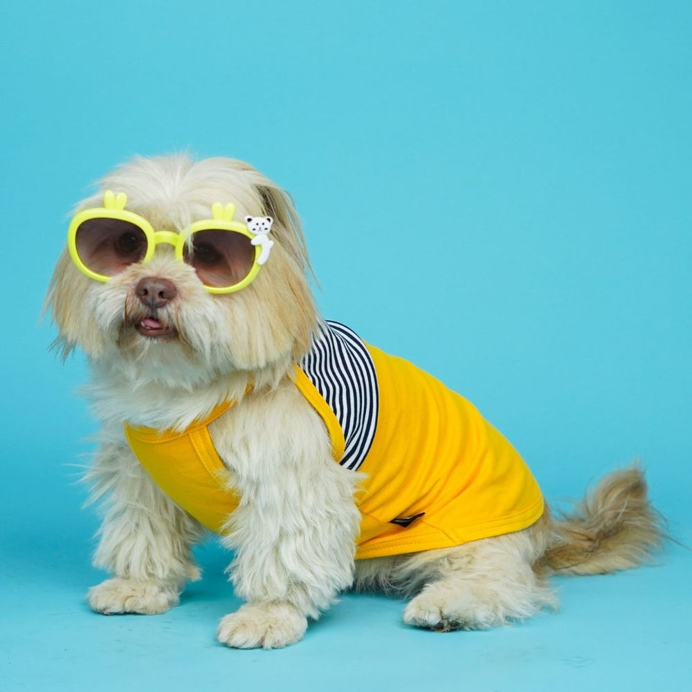 Pets Way Taxi Fetch Vest for Dogs