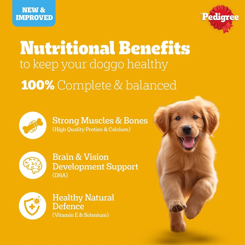 Pedigree- Chicken & Milk Puppy Dry Food