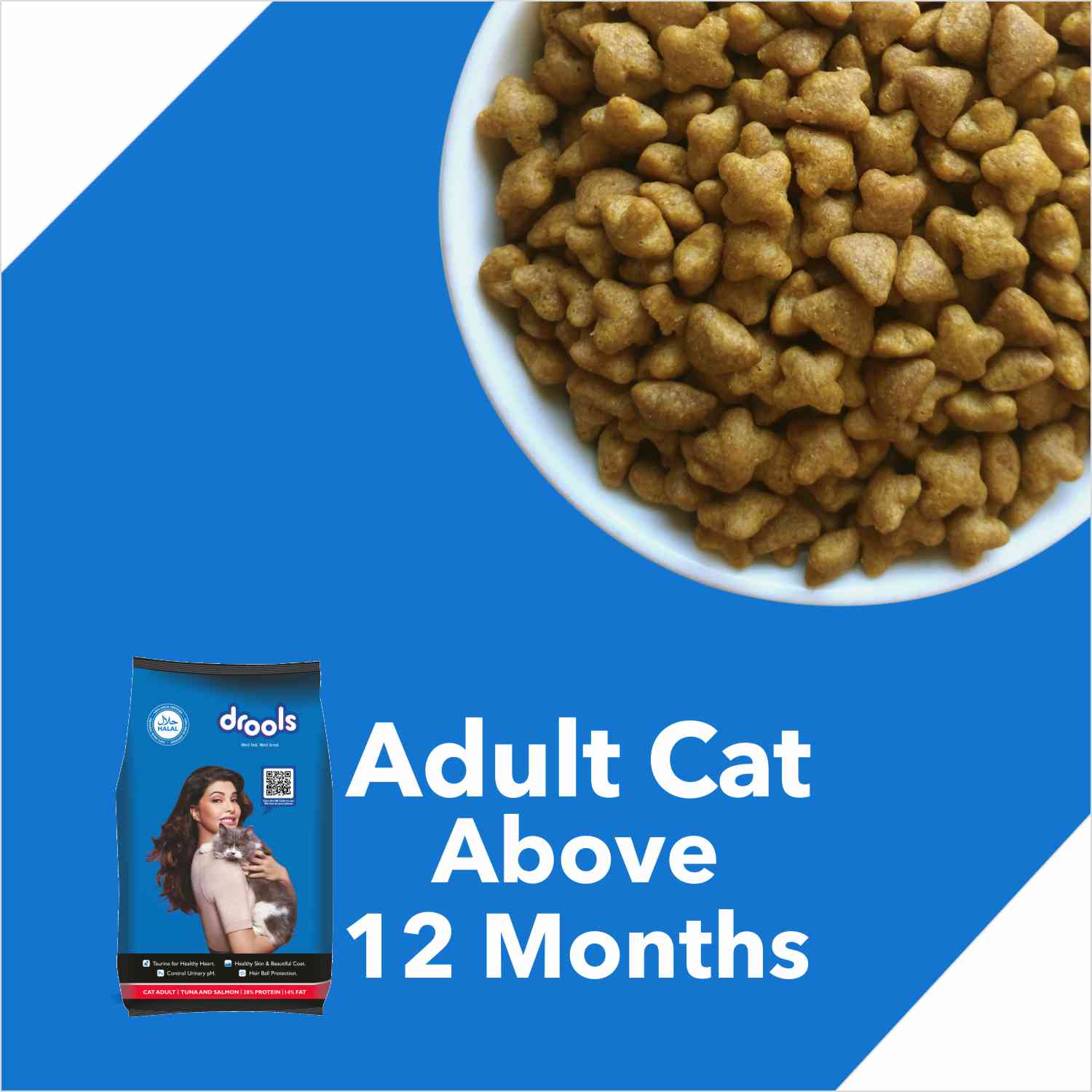 Drools- Tuna & Salmon Adult Dry Cat Food