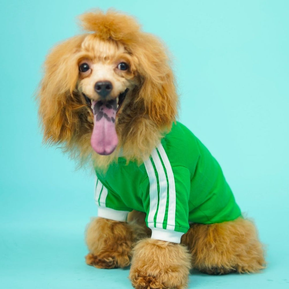 Pets Way Dive In Stripes Forest T-Shirt for Dogs