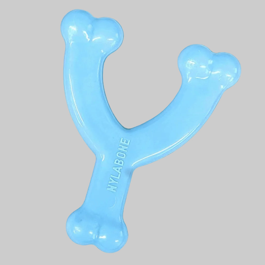 Nylabone Puppy Wishbone Chew Toy