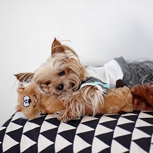 Zippy Paws Chipmunk Jigglerz Plush Toy for Dogs