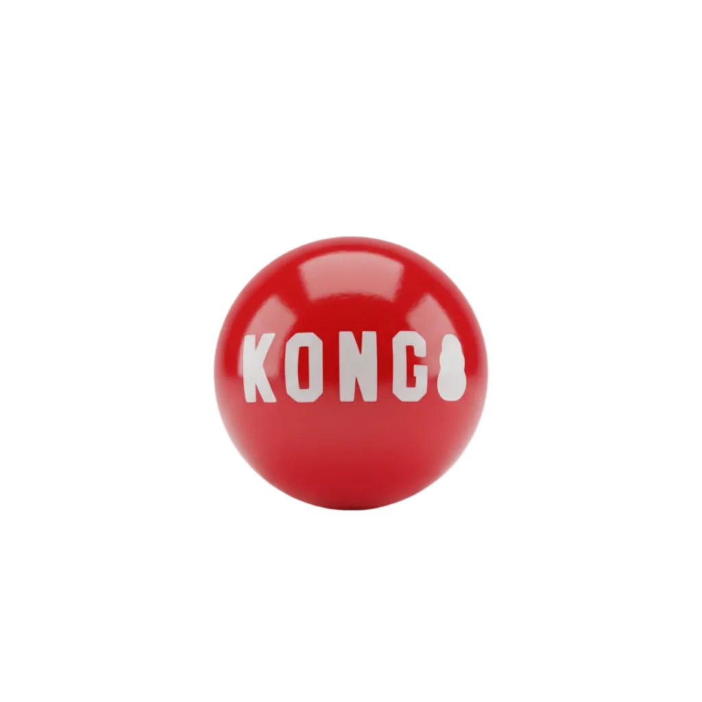 Kong Signature Ball Dog Toy