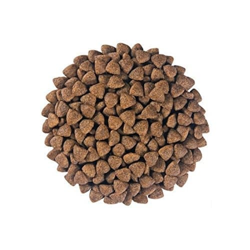 Royal Canin - Hypoallergenic for Small Dog Dry Food