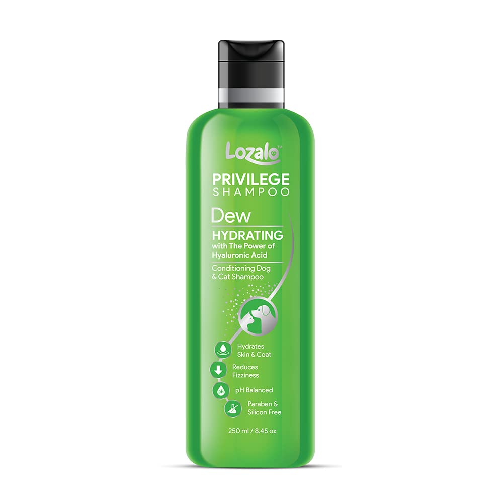 Lozalo Privilege Conditioning Shampoo Dew