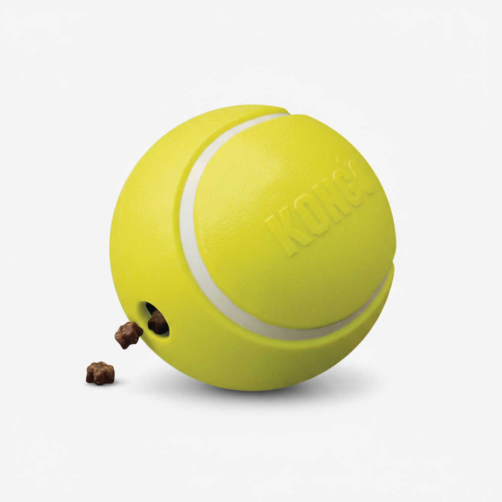 Kong Rewards Tennis Ball Dog Toy
