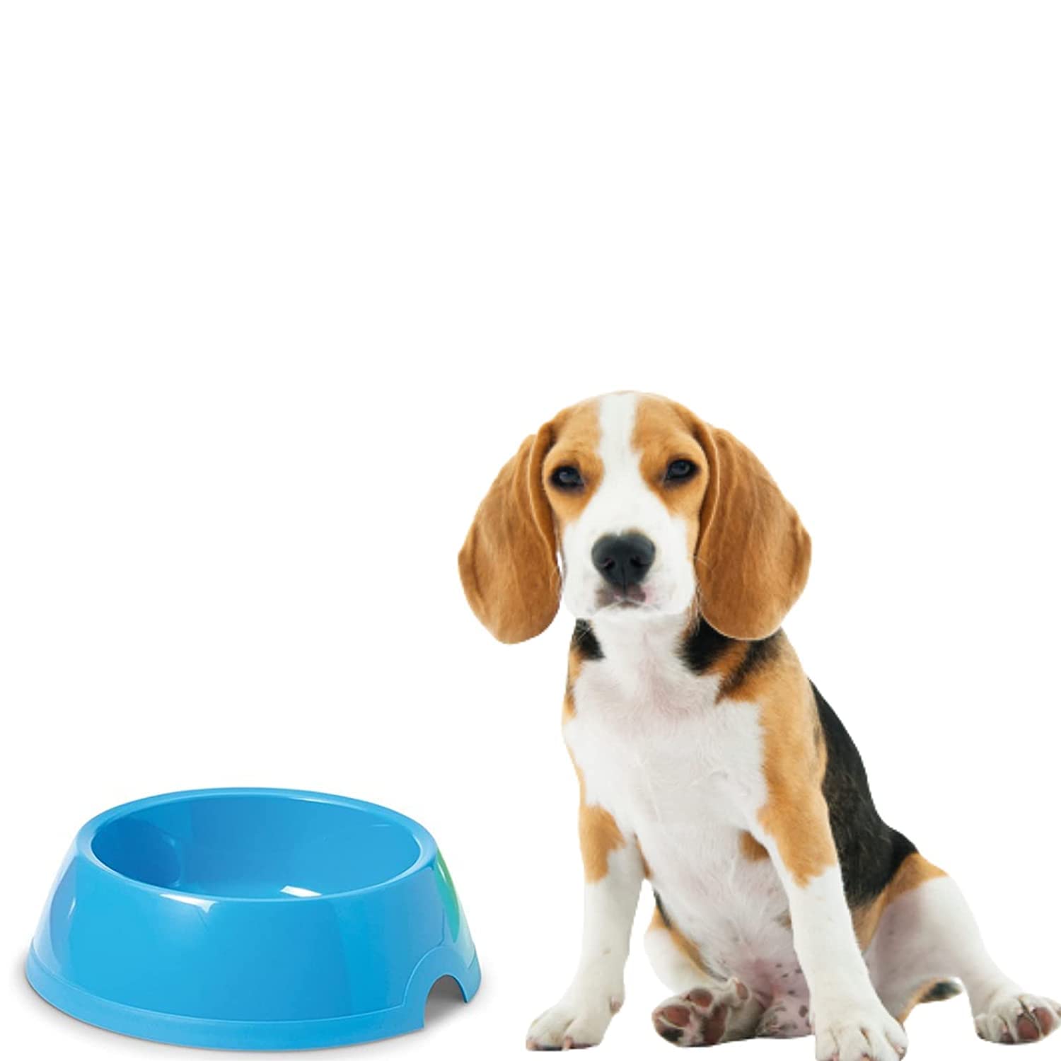 Savic - Picnic Bowl for Dogs |