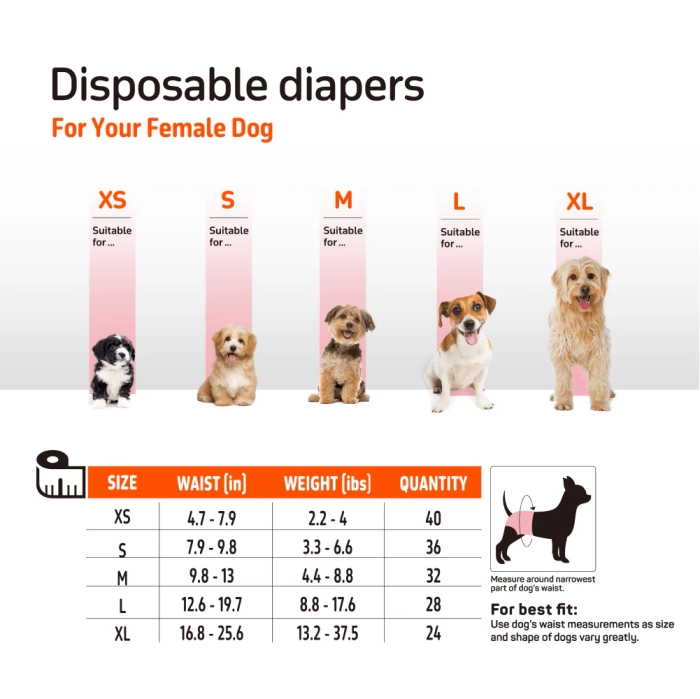 Fofos- Diaper for Female Dogs