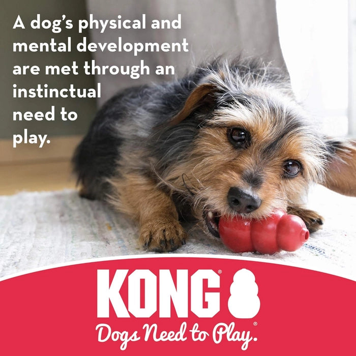 Kong - Stuff a Ball Dog Toy