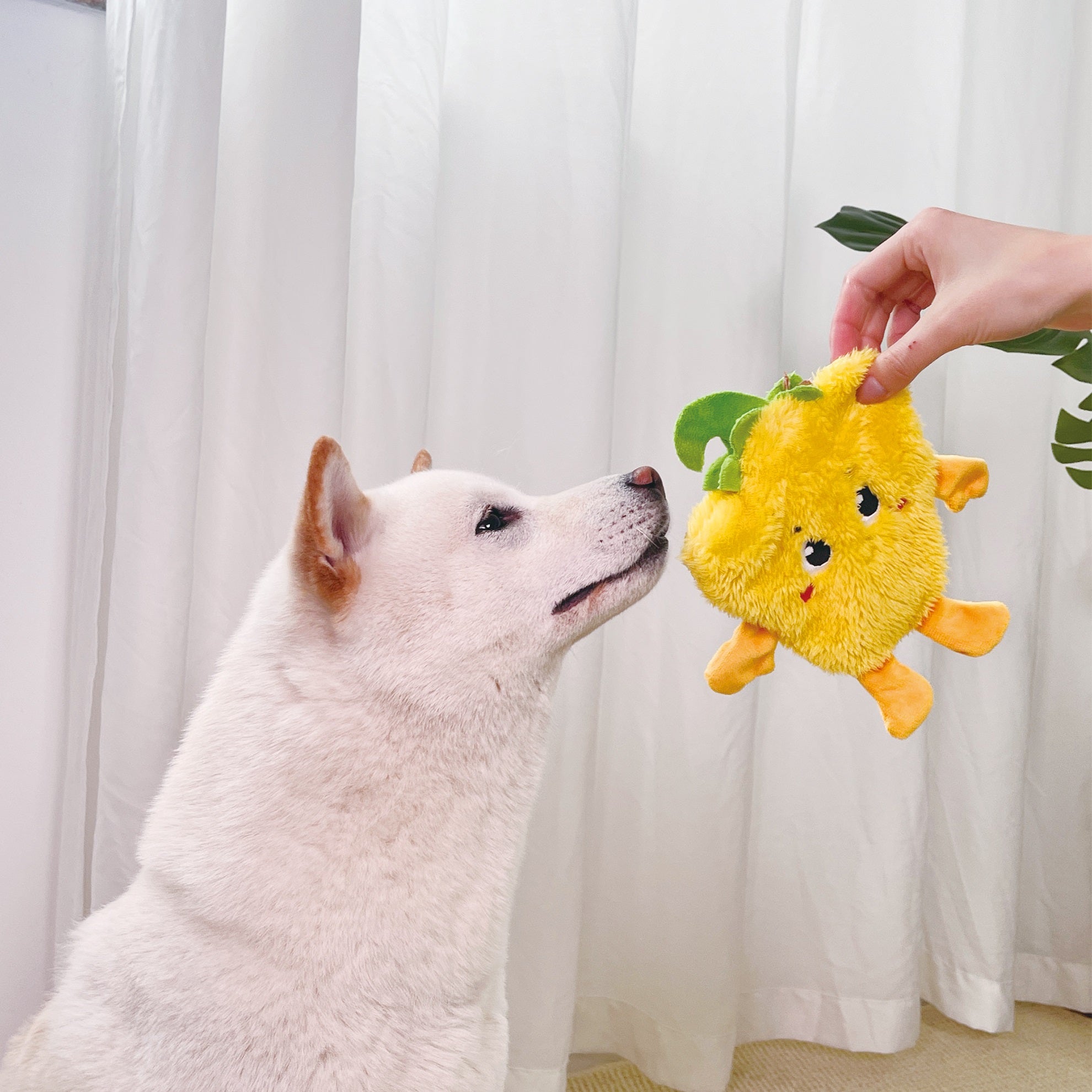 Gigwi Suppa Puppa Dog Toy