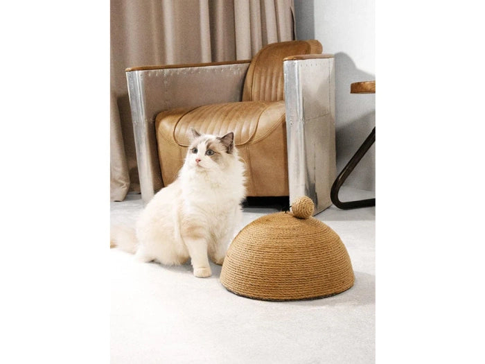 Pawise Dome Scratcher