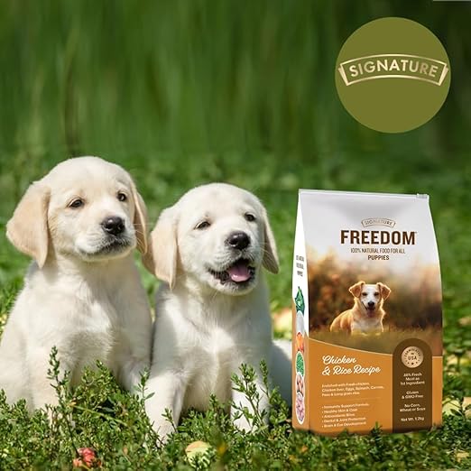 Signature - Freedom Chicken & Rice Puppy Dry Food