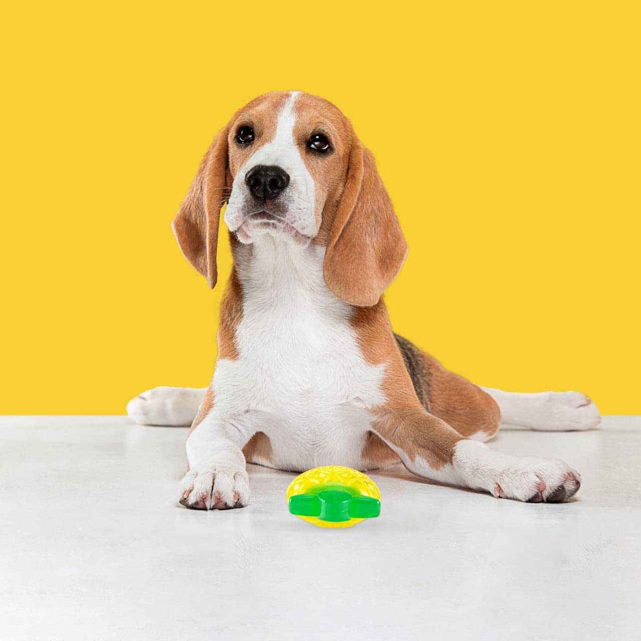 Fofos Fruity Bites Squeaky Jelly Pineapple Dog Toy