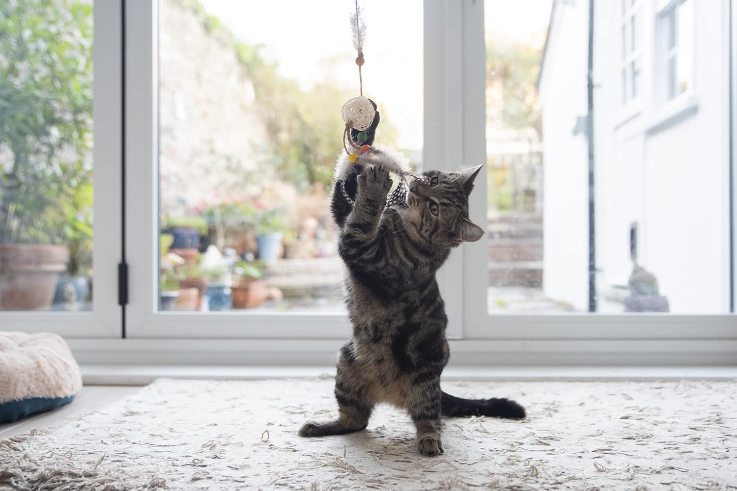 Gigwi Eco Line Catch Scratch Toy for Cats