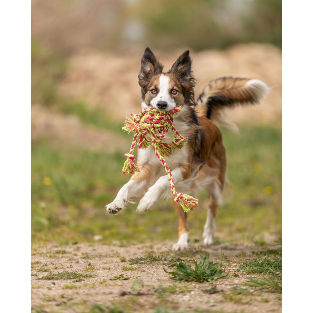 Trixie Rope Ring Toy for Dogs