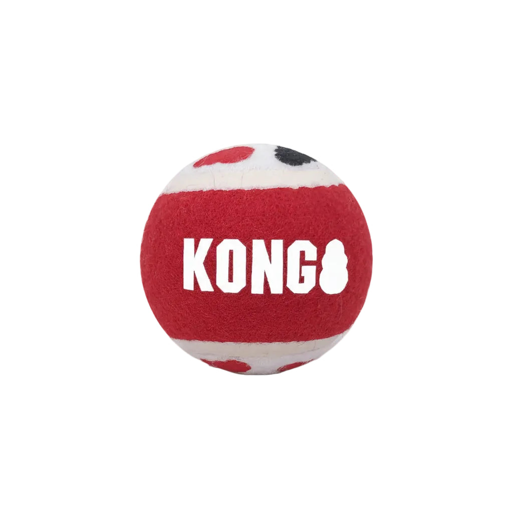 Kong Signature Ball Dog Toy