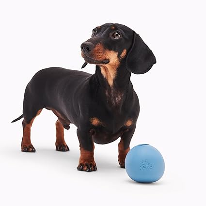 Beco Rubber Ball Chew Toy for Dogs