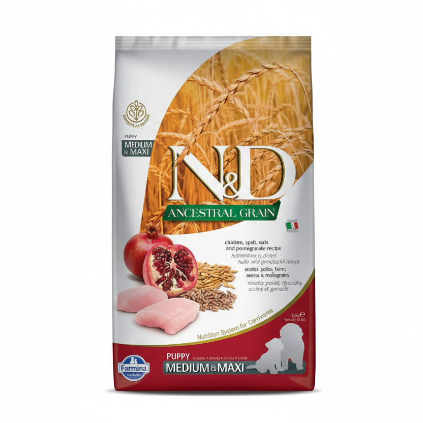 N&D Ancestral Grain Chicken Medium & Maxi Puppy Dog Dry Food