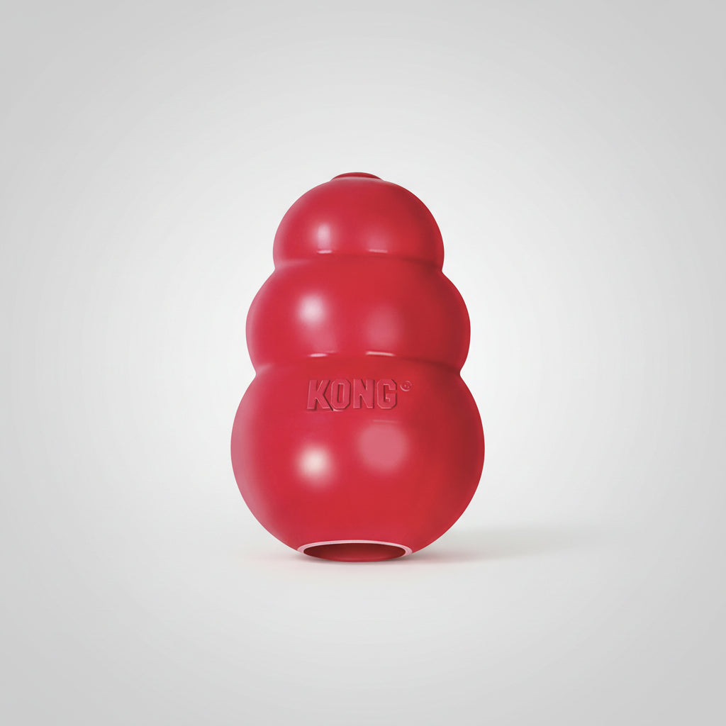 Kong Classic Dog Toy