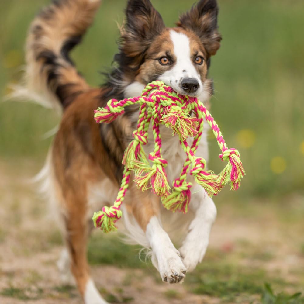 Trixie Rope Ring Toy for Dogs