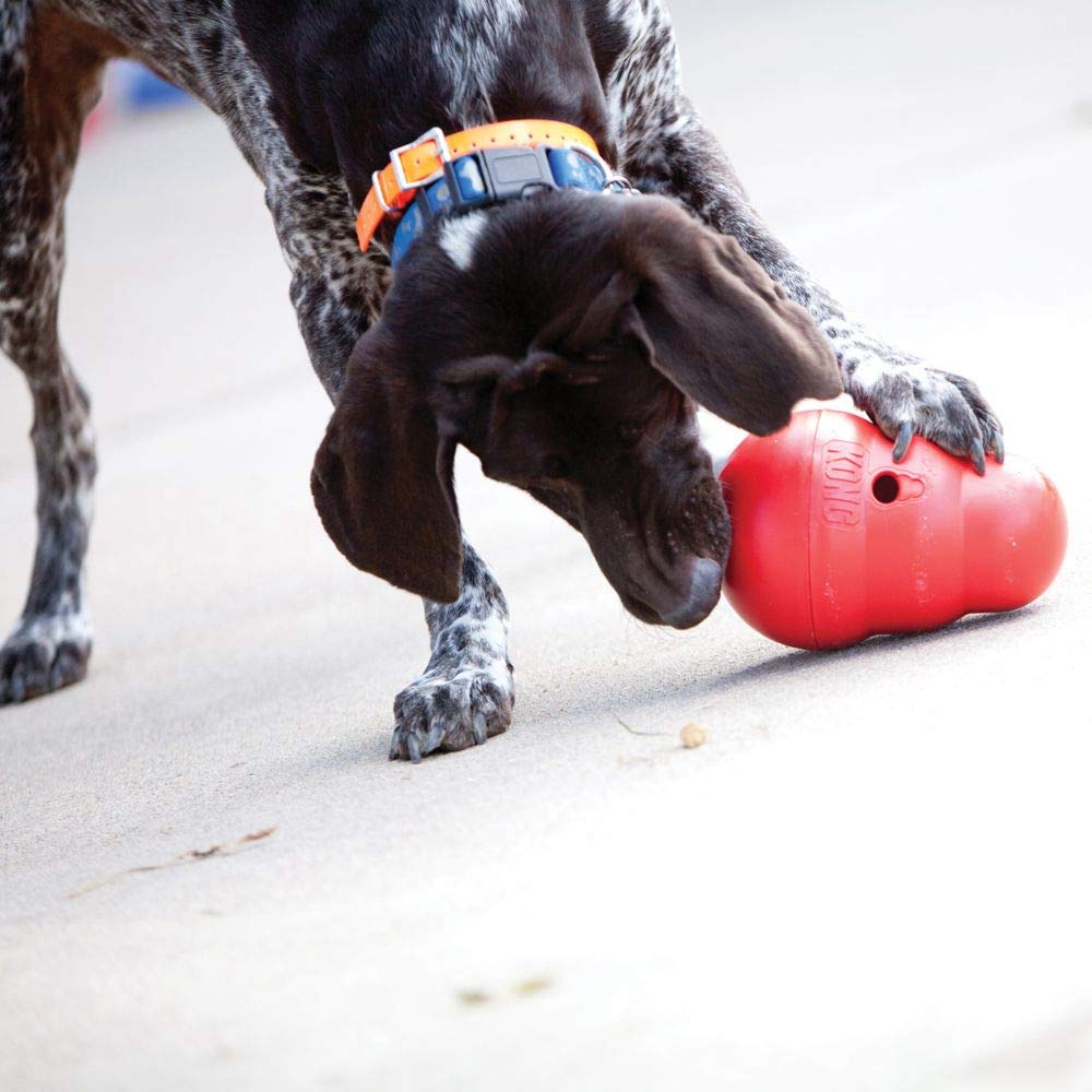 Kong – Wobbler Toy for Dog