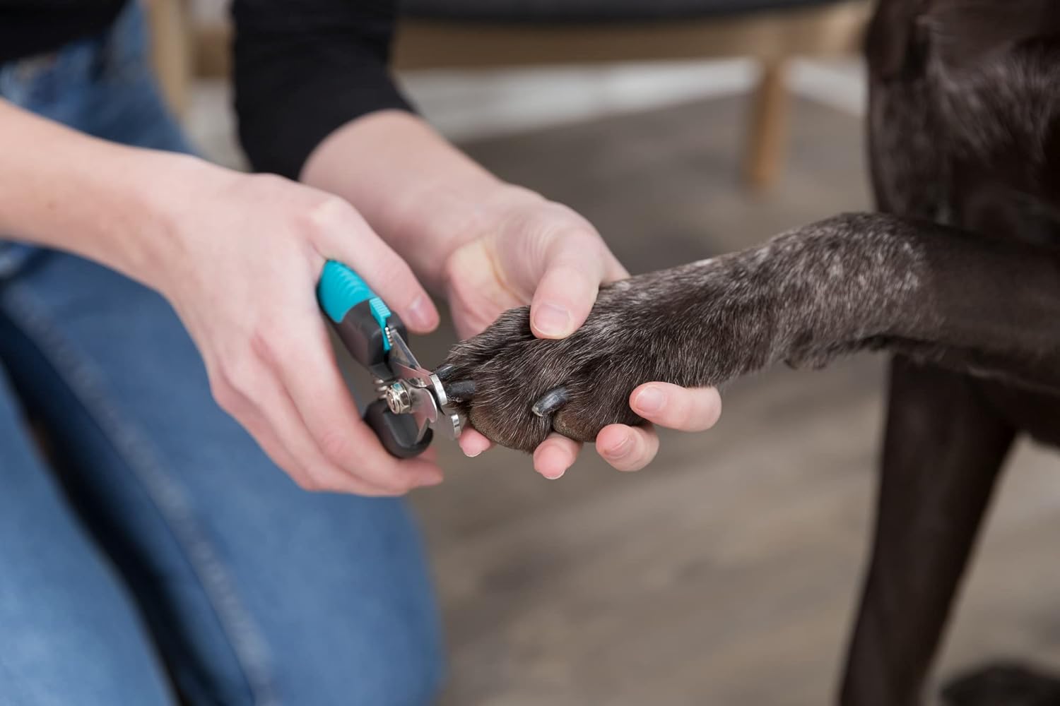 Trixie- Nail Clipper for Dog& Cat