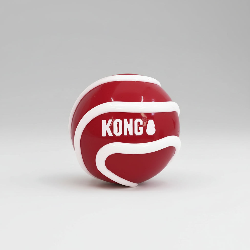 Kong Signature Ball Dog Toy