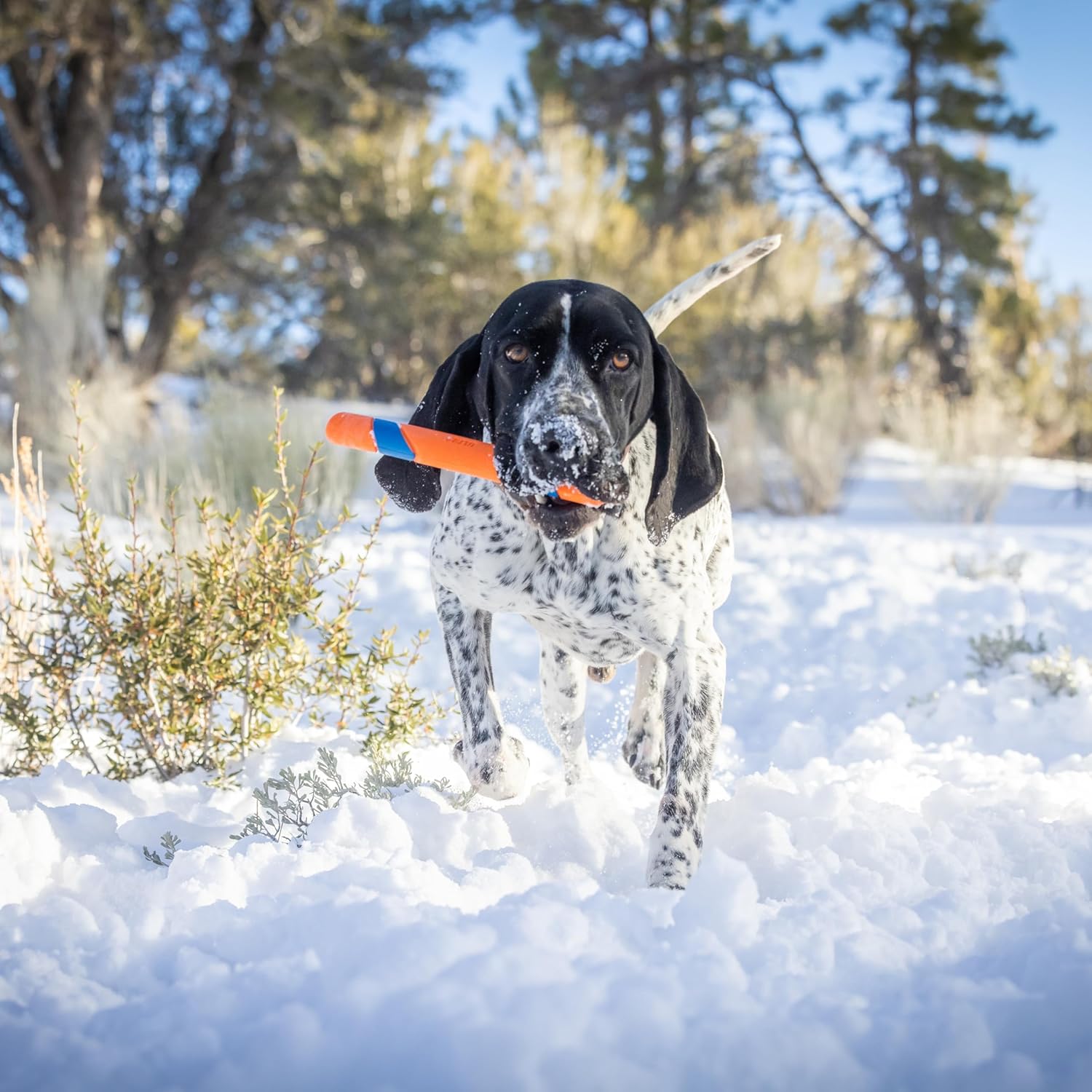 Chuckit- Ultra Fetch Stick Outdoor Dog Toy