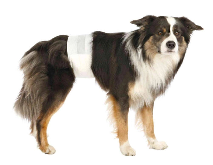 Trixie- Disposable Diapers for Male Dogs