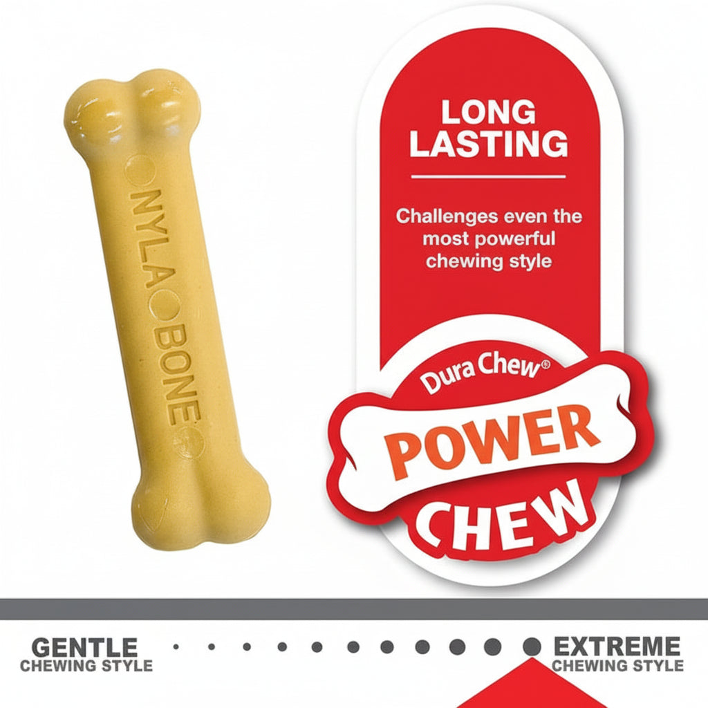 Nylabone Puppy Chew & Power Chew Bone Twin Pack S