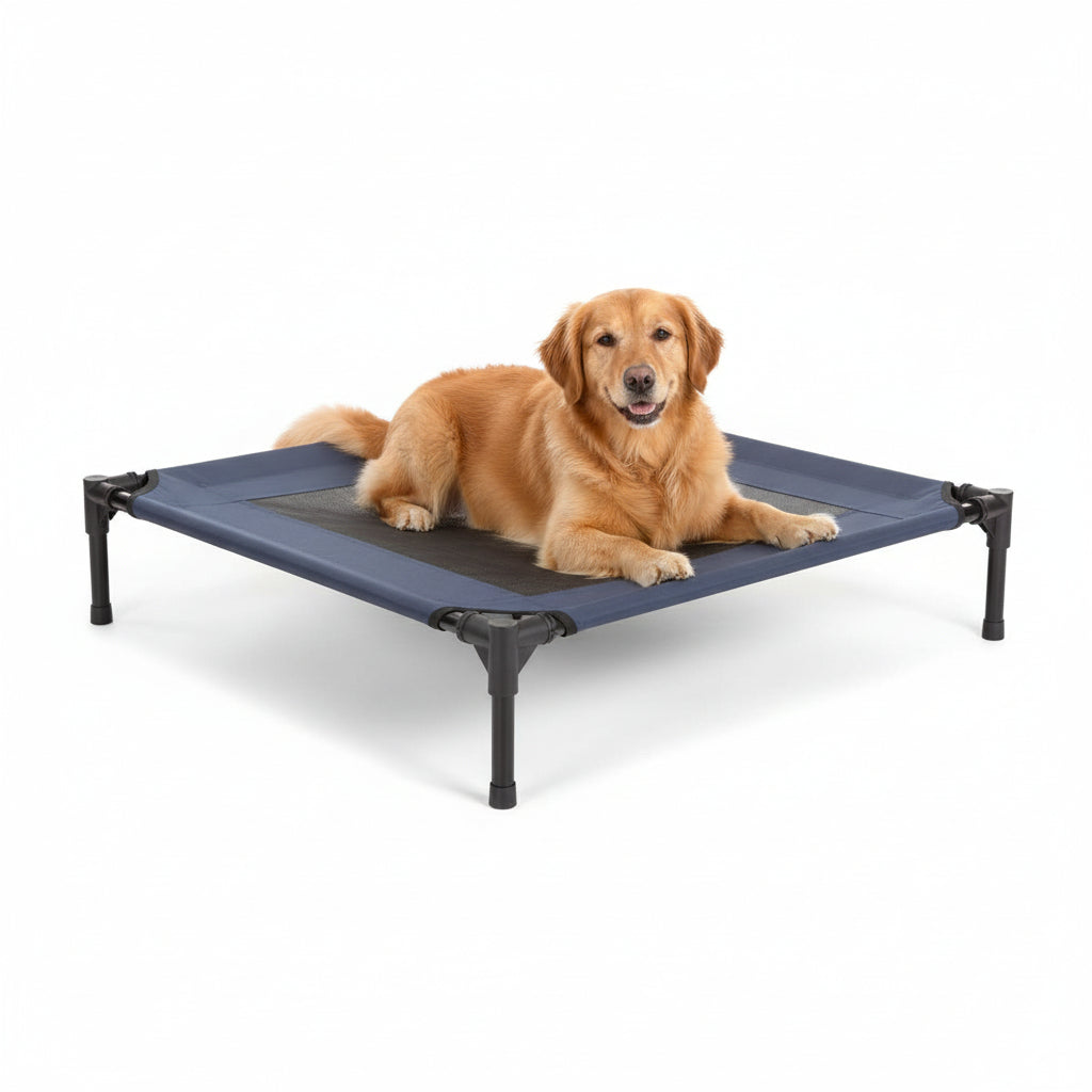 M-Pets Elevated Dog Bed