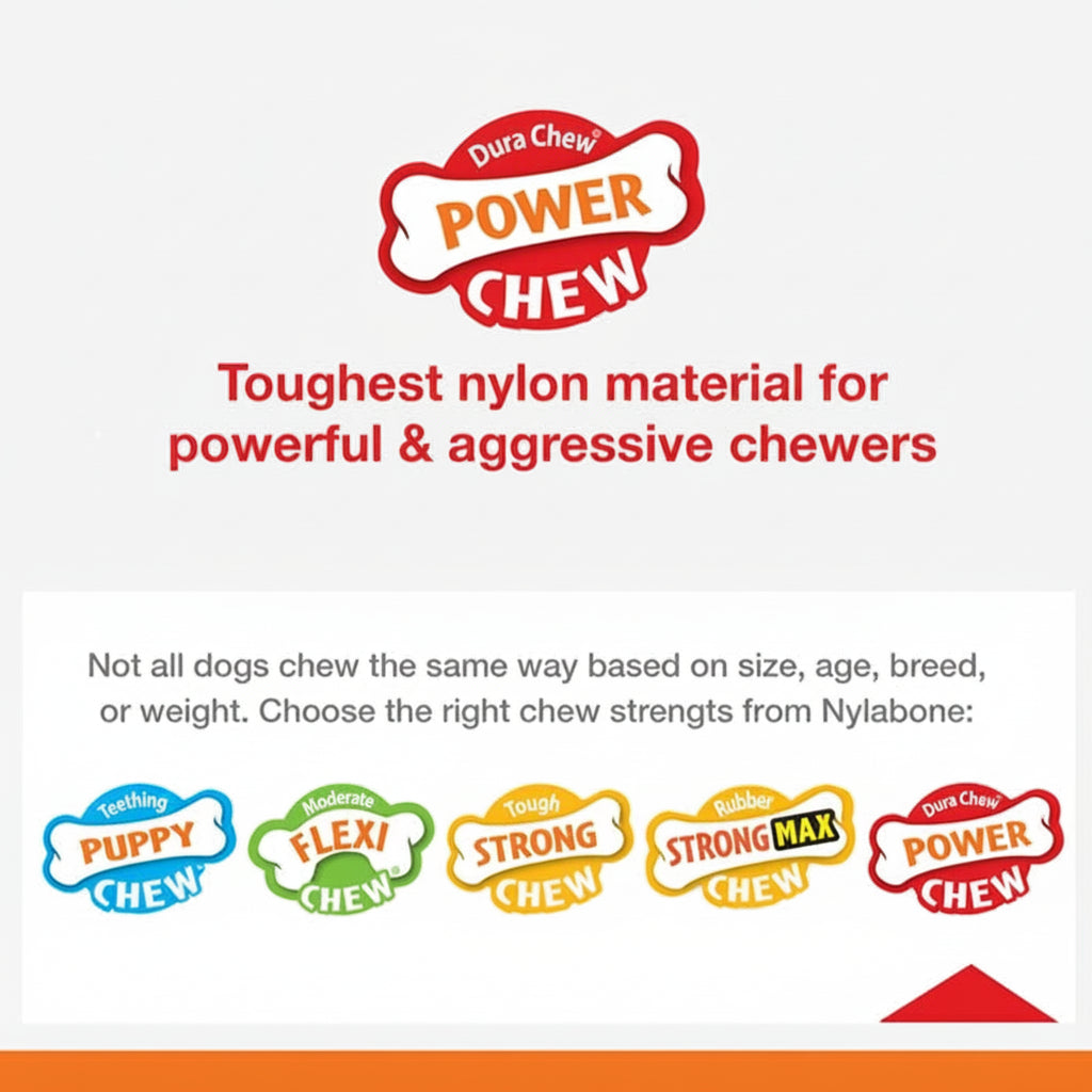 Nylabone Power Chew Flavor Frenzy Bone Triple Pack