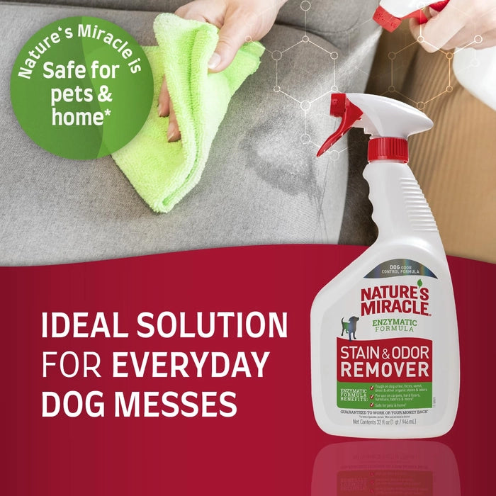 Nature's Miracle- Dog Stain and Odor Remover Pour