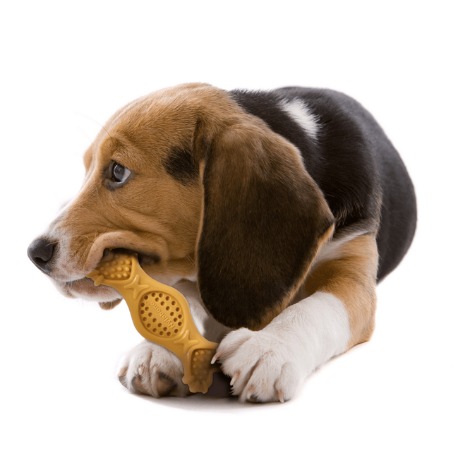 Nylabone Power Chew Fill and Treat Toy Peanut Butter