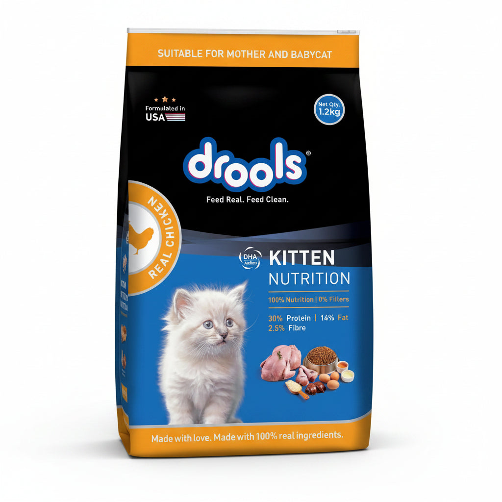 Drools Cat Real Chicken Kitten Dry Food