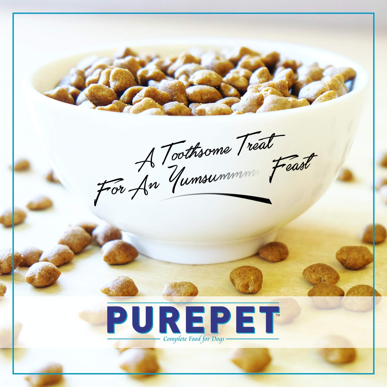 Purepet - Ocean Fish Kitten Dry Food