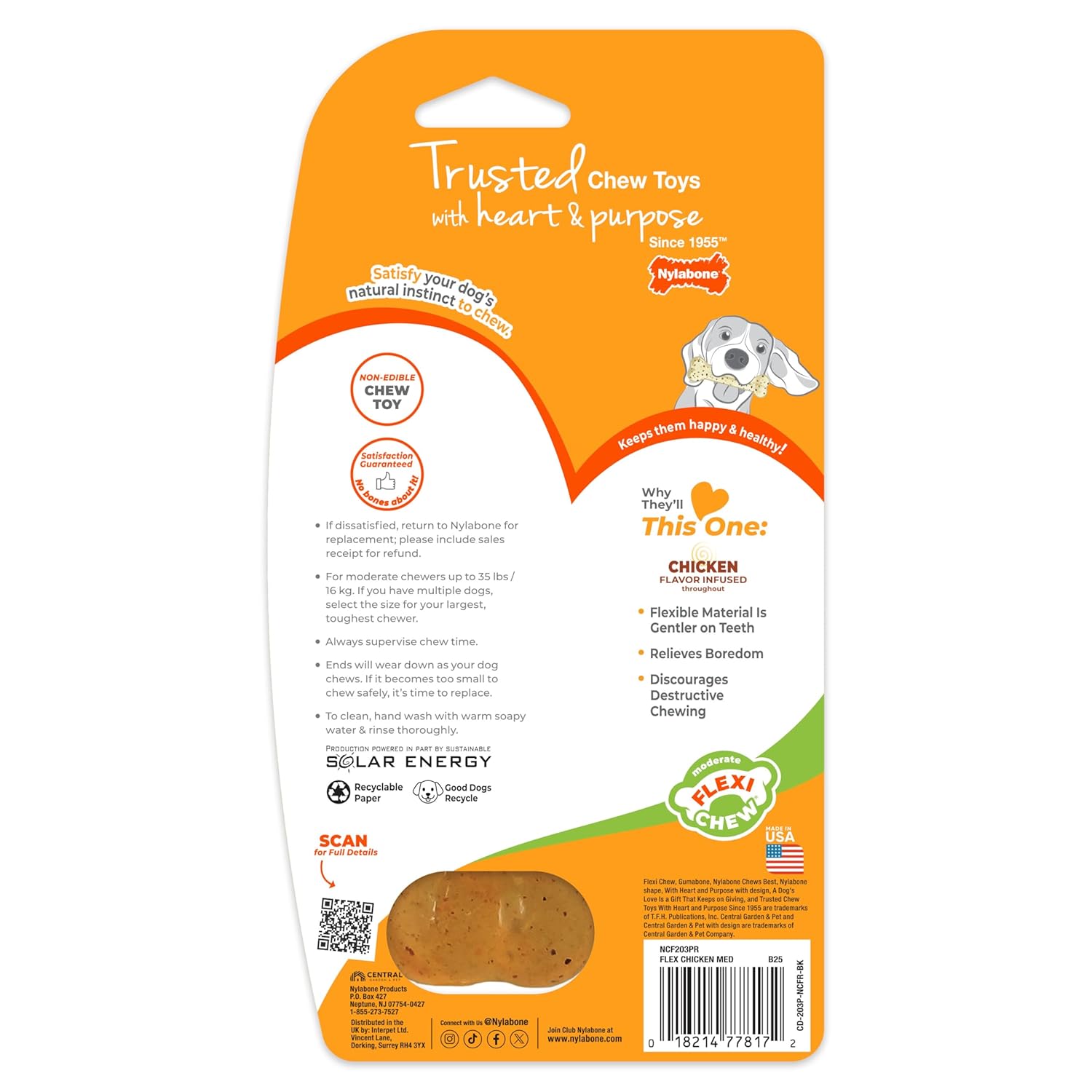 Nylabone Flexi Chew Bone