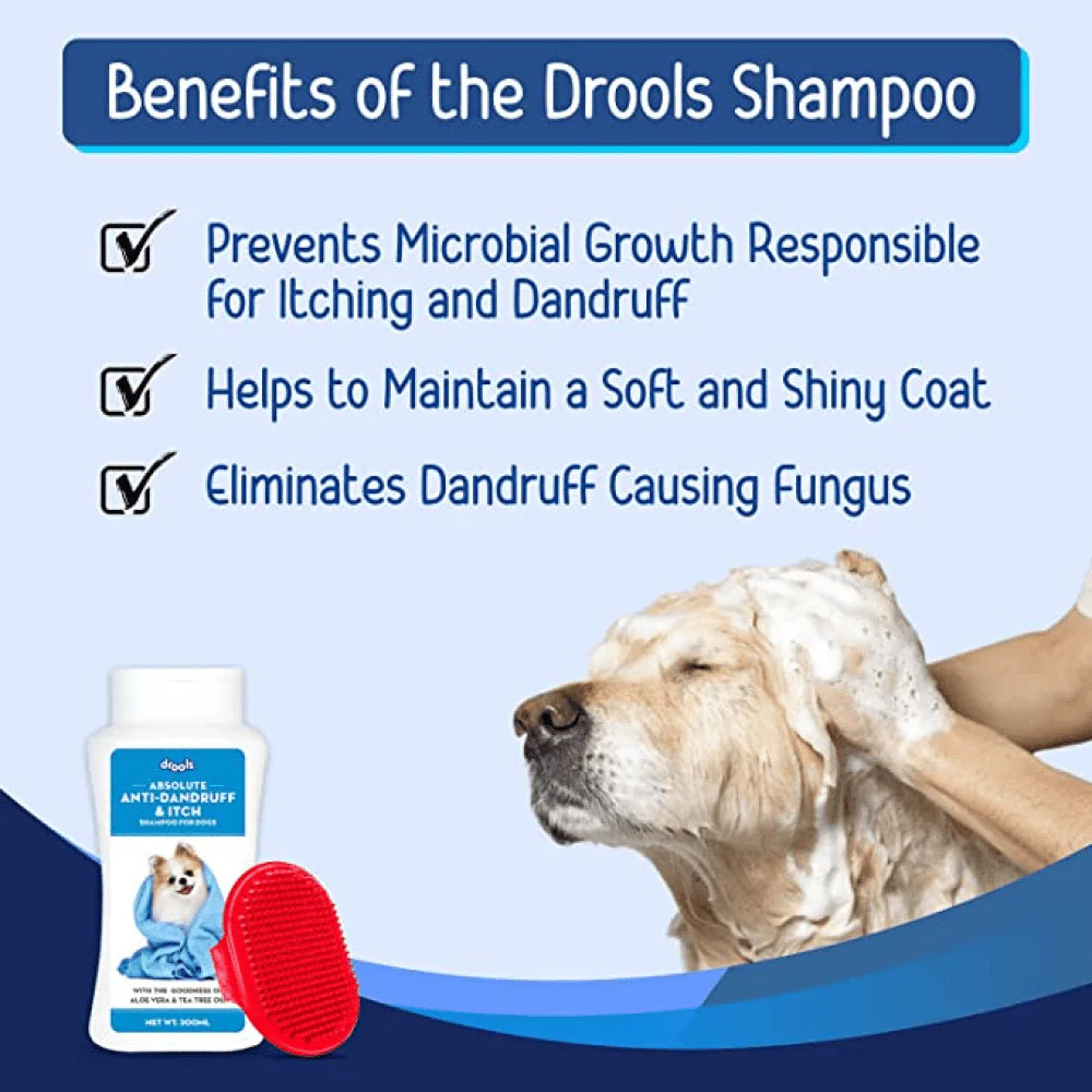 Drools- Anti Dandruff and Itch Shampoo for Dogs