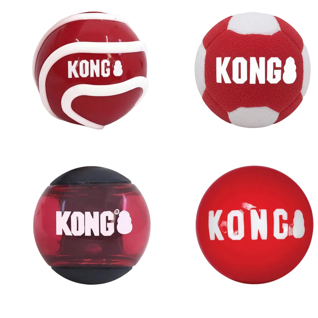Kong Signature Ball Dog Toy