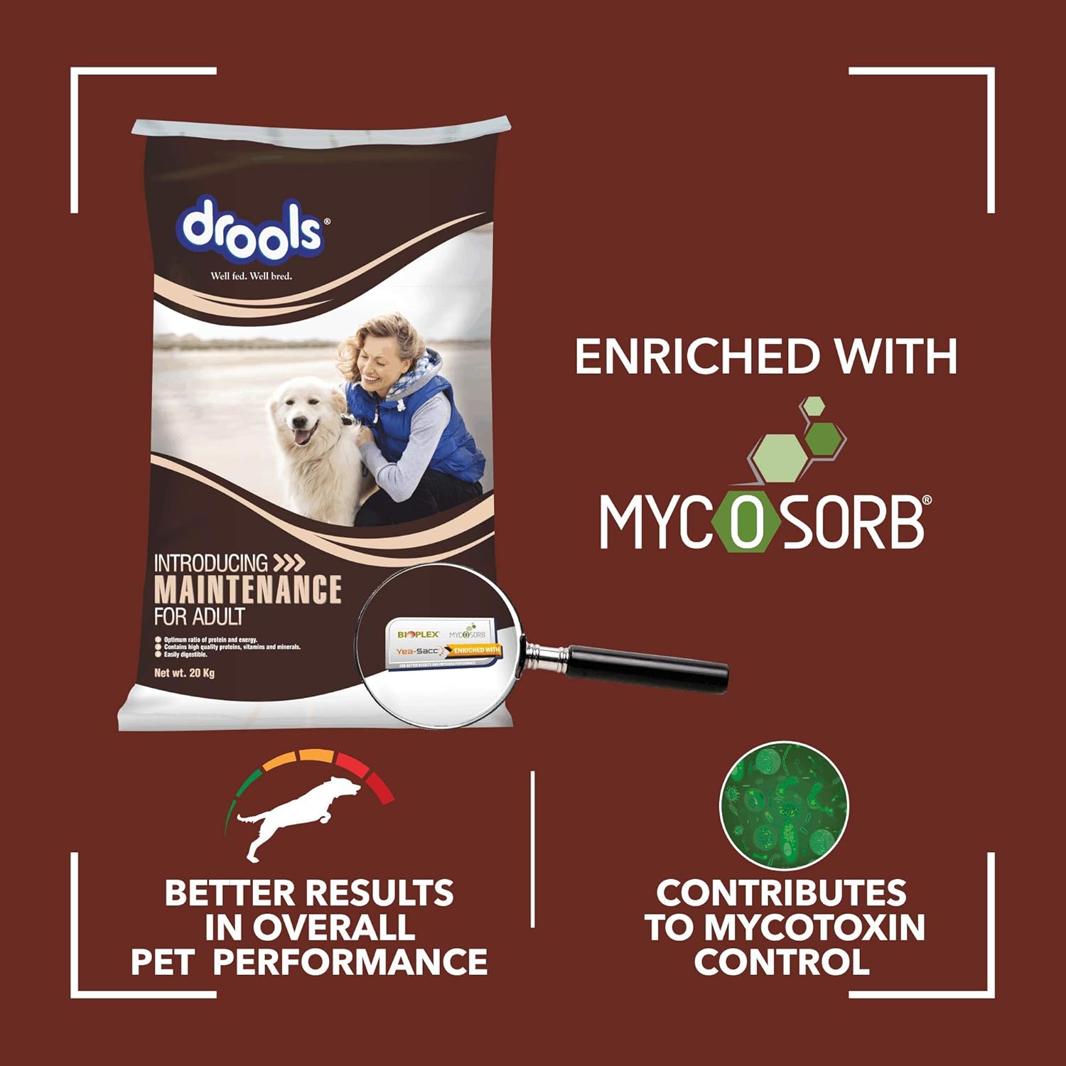 Drools -  Maintenance Adult Dry Dog Food