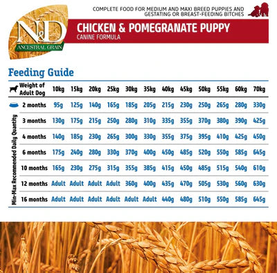 N&D - Ancestral Grain Chicken Puppy Medium & Maxi Breed Dry Dog Food